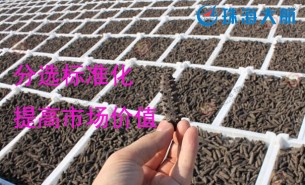大家都用重量分揀機分選海參了！您還在用人工分選嗎？