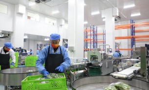 蔬菜配重機(jī)：解決人工成本與效率問(wèn)題，助力蔬菜加工發(fā)展