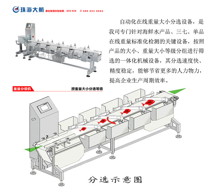 重量自動分揀機(jī)